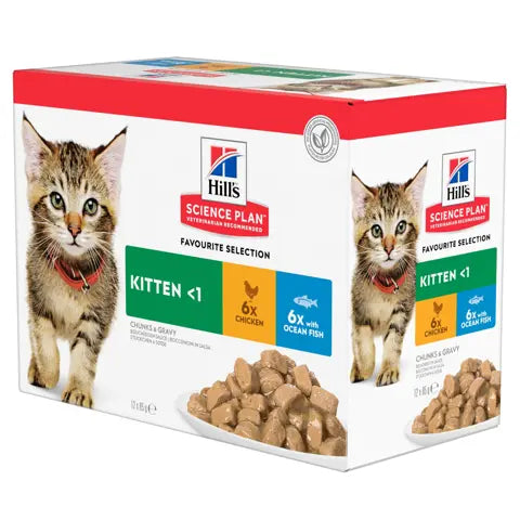 Hill's Science Plan Feline Kitten 12x85g blautfóður