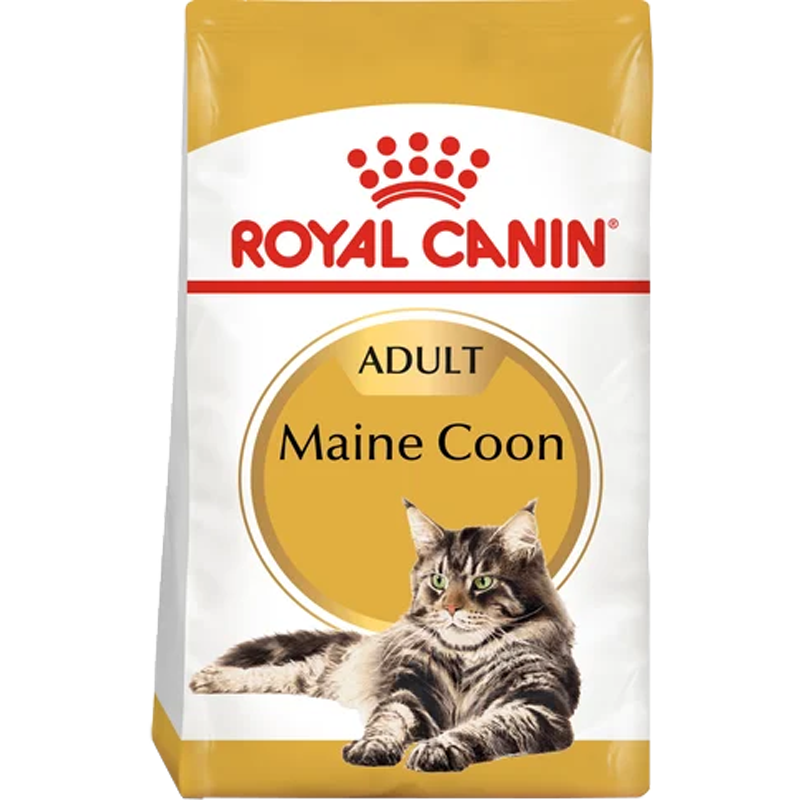 RC Cat Maine Coon Adult