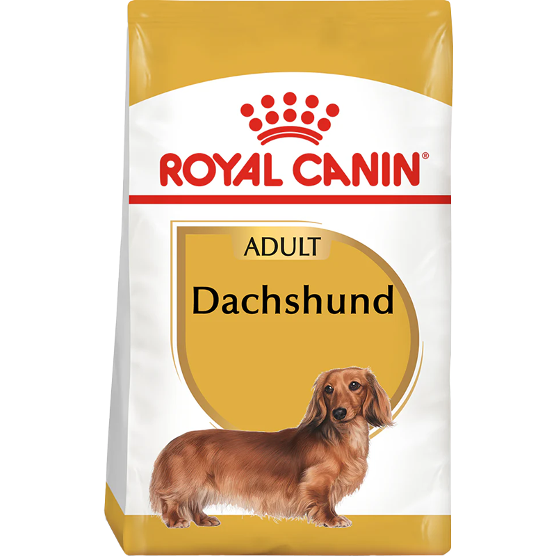 RC Dog Dachshund Adult