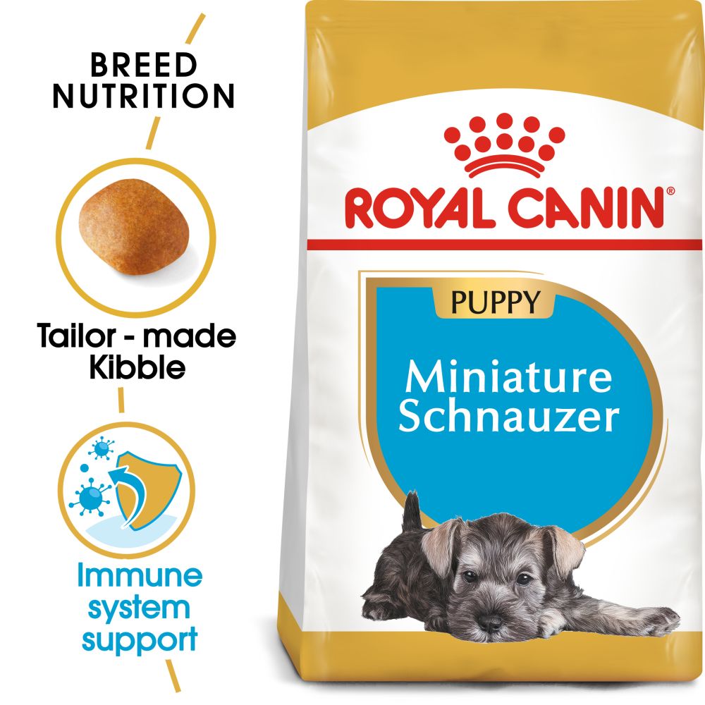 RC Miniature Schnauzer Puppy 1.5kg