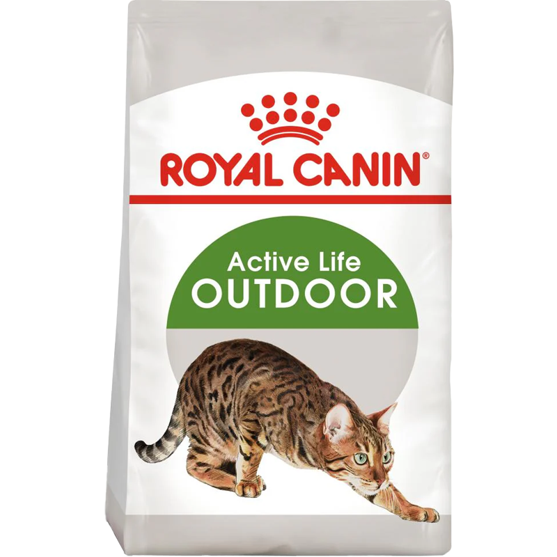 RC Cat Outdoor