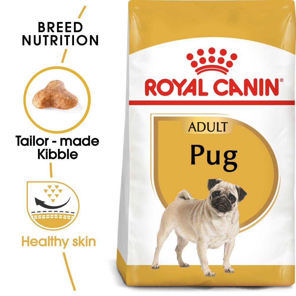 RC Dog Pug Adult
