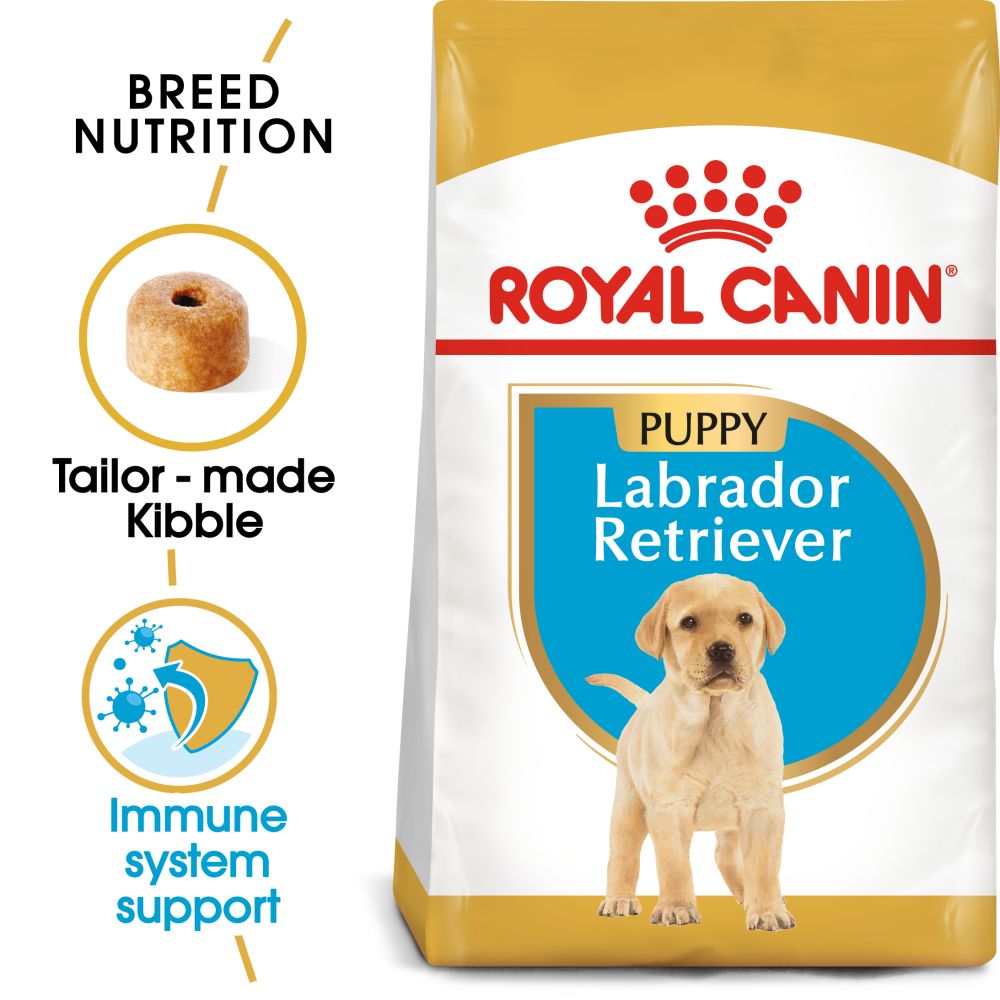 RC Labrador Puppy 12kg