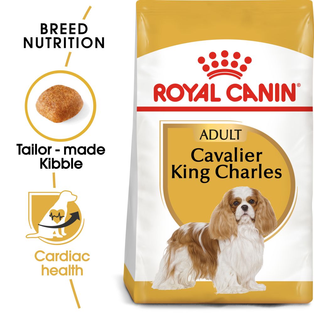 RC Cavalier King Charles Adult 1.5kg