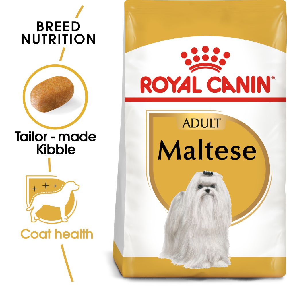 RC Maltese Adult 1.5kg