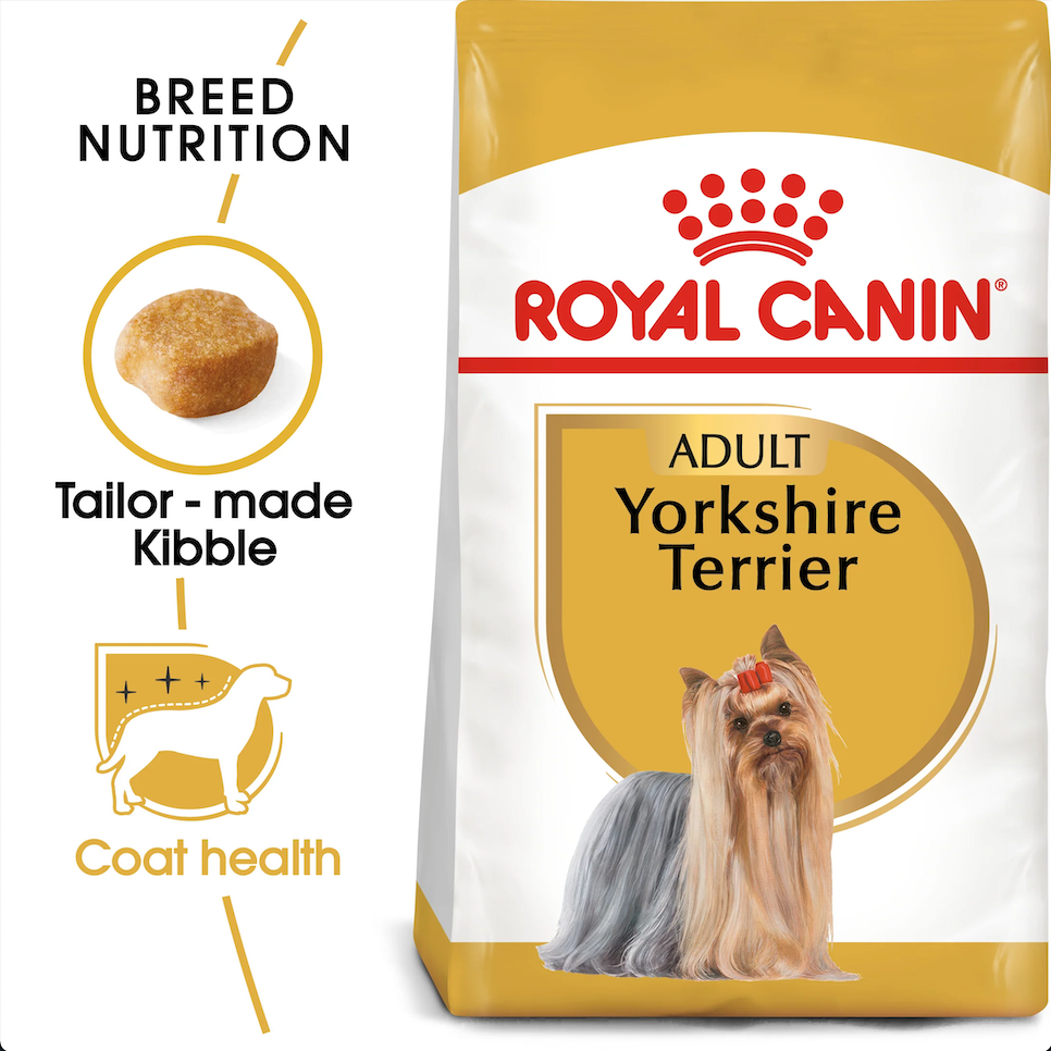 RC Yorkshire Terrier Adult