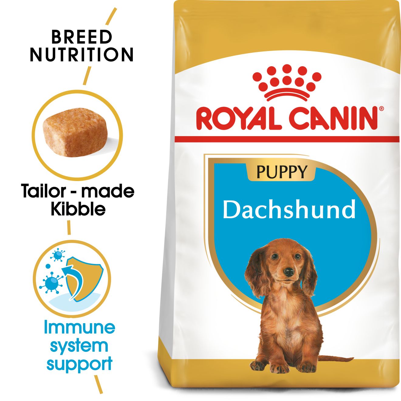RC Dachshund Puppy 1.5kg