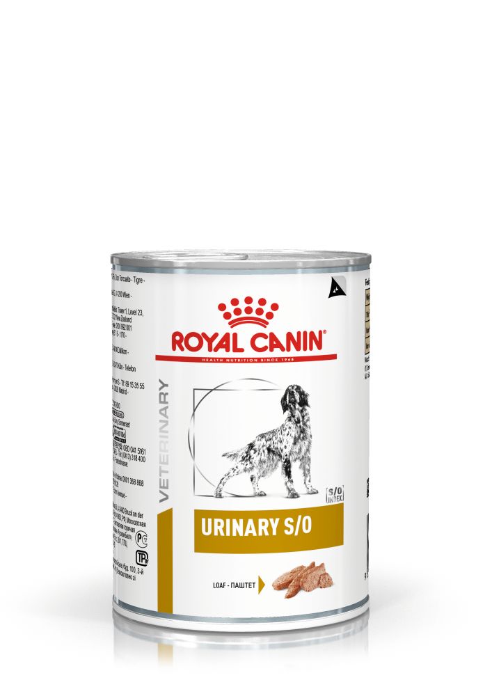 RC Dog Urinary S/O 410gr Blautfóður