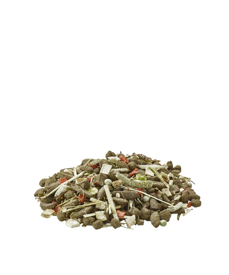 Versele-Laga Versele-Laga Degu Nature 2,3kg