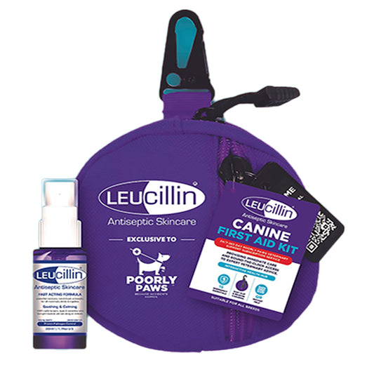 Leucillin Antiseptic Skin Care First Aid Kit