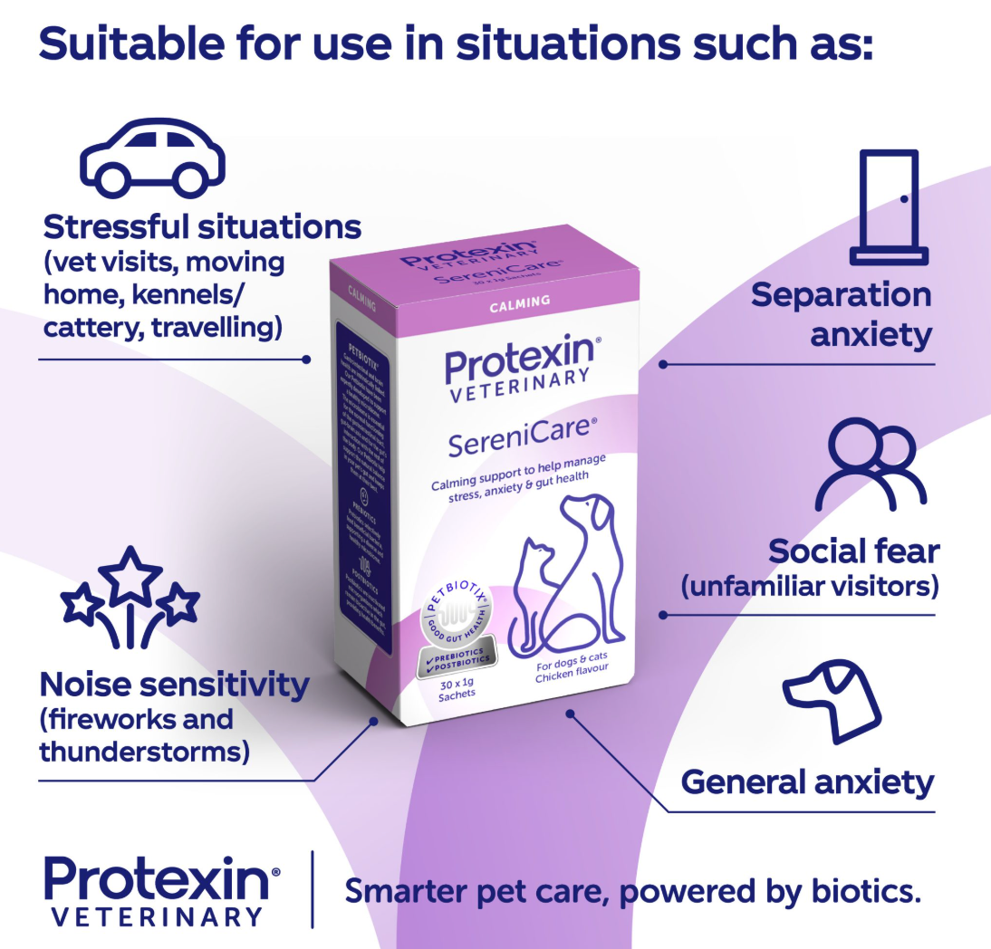 SereniCare: Calming Supplement For Dogs And Cats