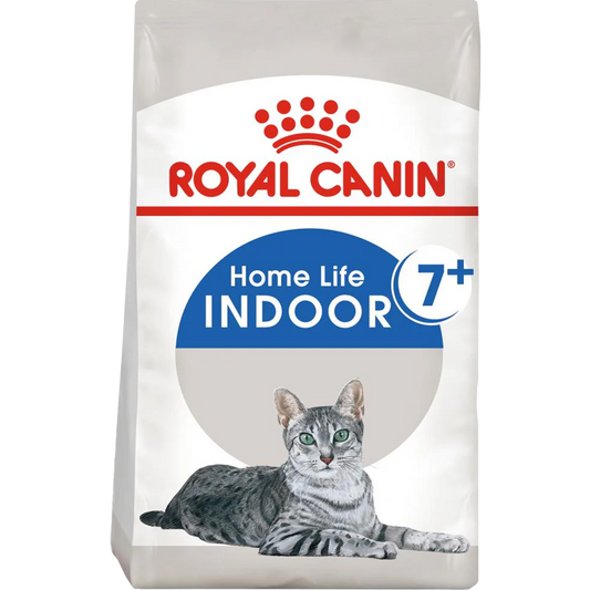 RC Cat Indoor 7+
