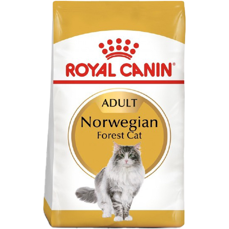 RC Cat Norwegian Adult