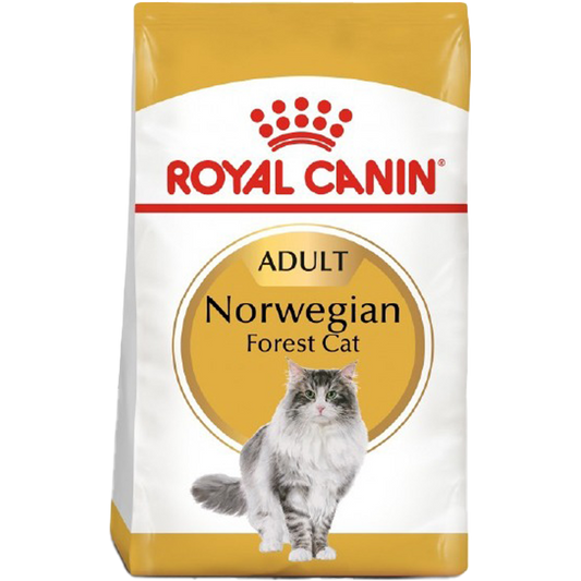 RC Cat Norwegian Adult