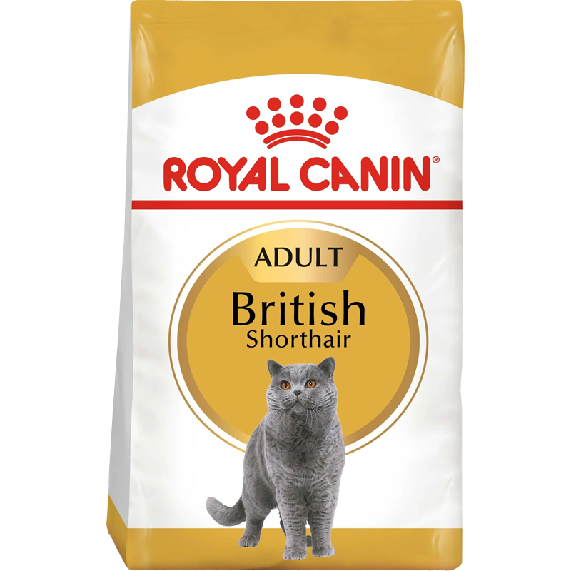 RC Cat British Shorthair Adult 2kg