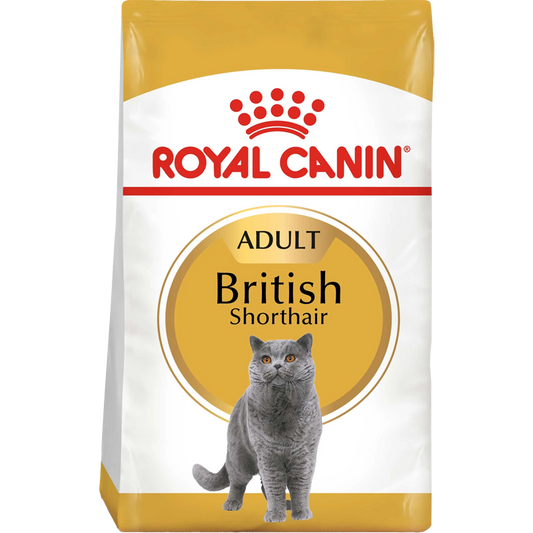 RC Cat British Shorthair Adult 2kg