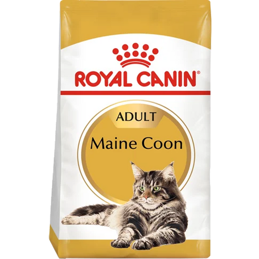 RC Cat Maine Coon Adult