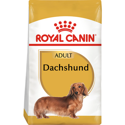 RC Dog Dachshund Adult