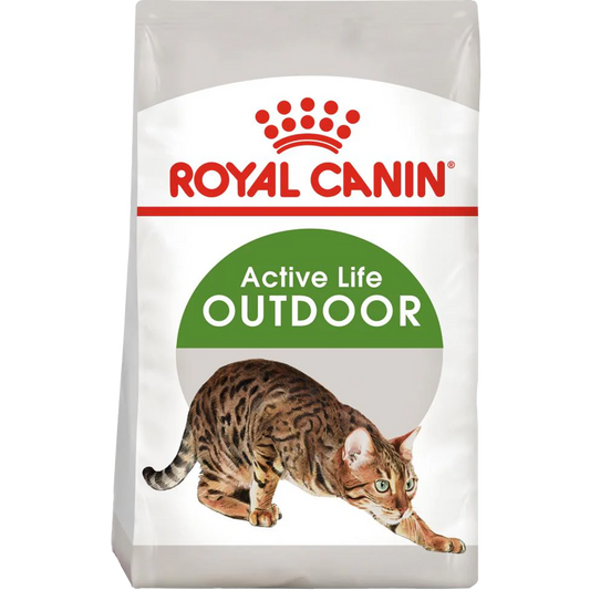 RC Cat Outdoor