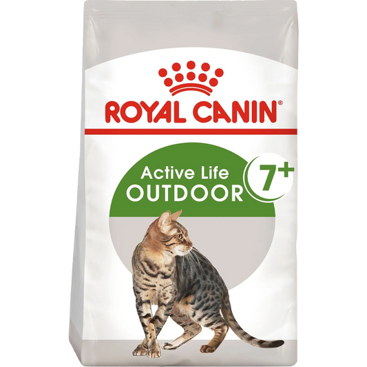 RC Cat Outdoor 7+