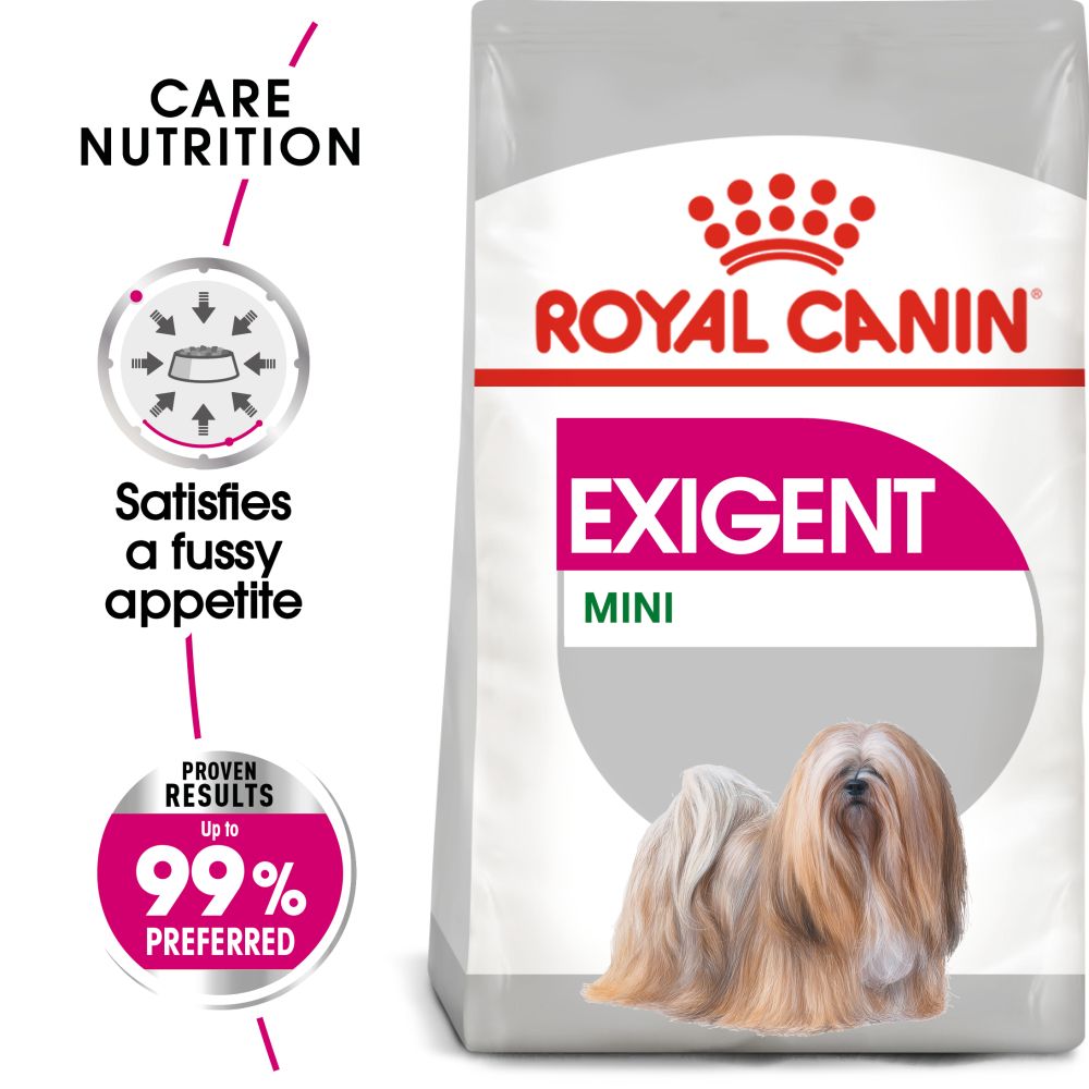 RC Dog Mini Exigent