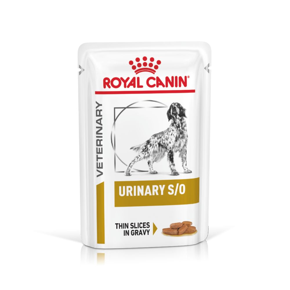 RC Dog Urinary S/O 100gr Blautfóður
