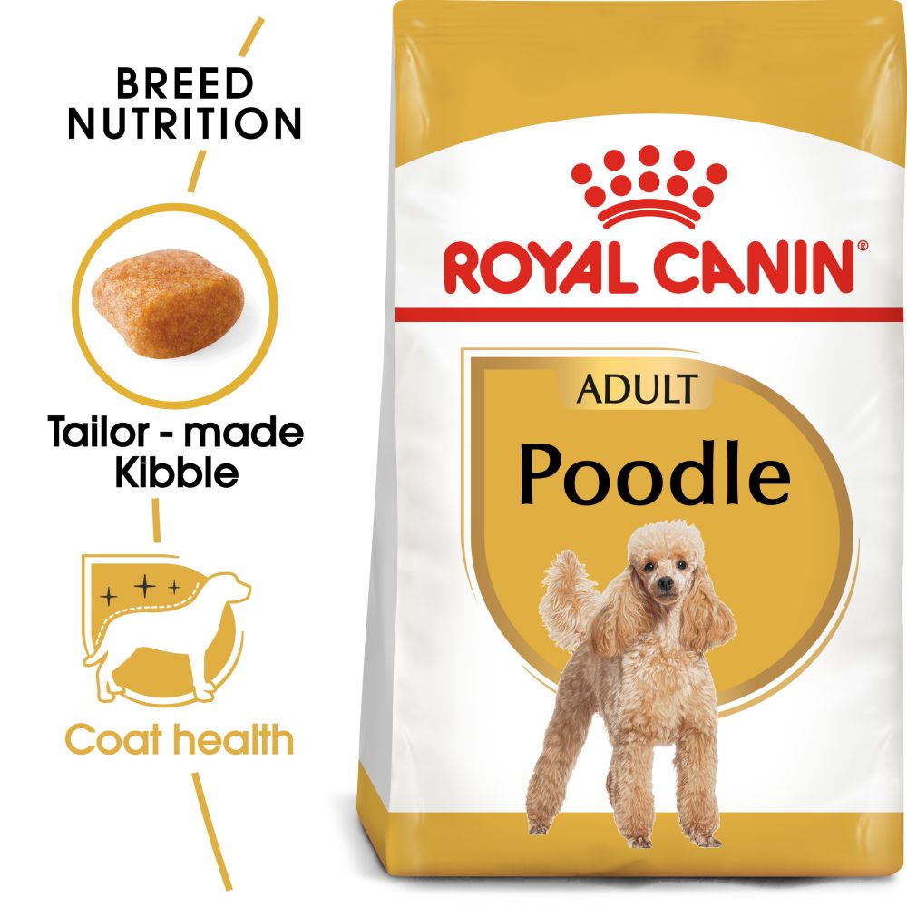 RC Dog Poodle Adult