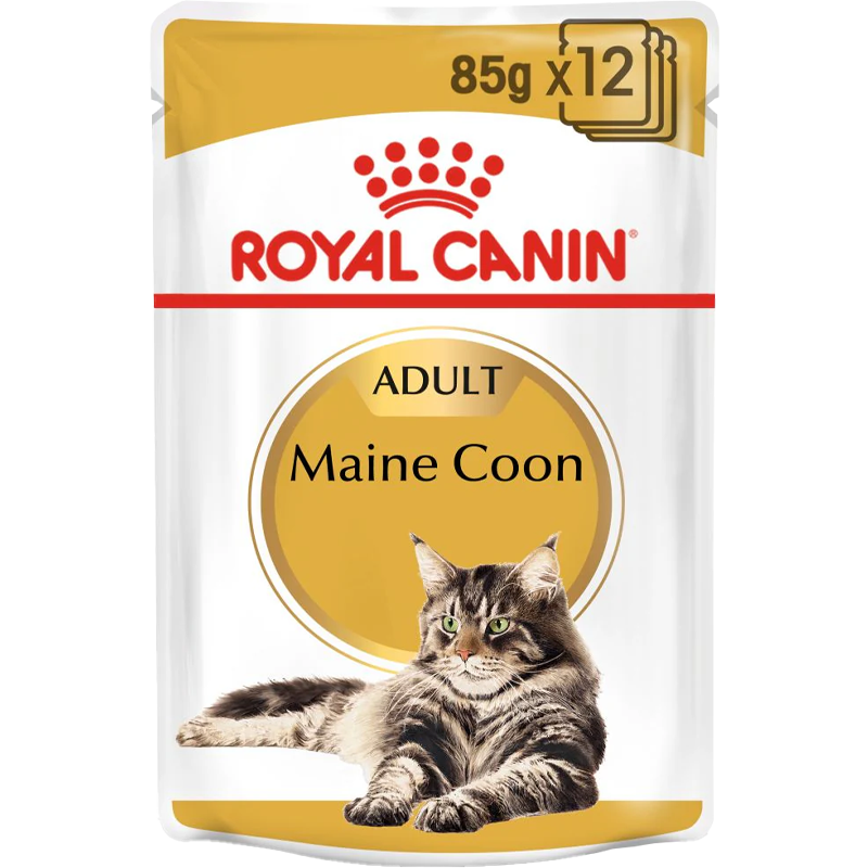 RC Cat Maine Coon Adult 12x85g blautfóður