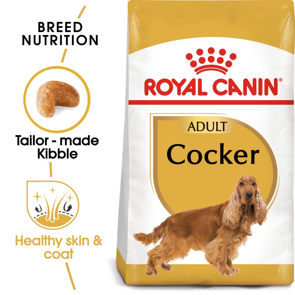 RC Dog Cocker Adult