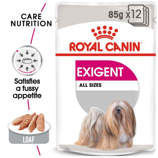 RC Exigent 12x85g blautfóður