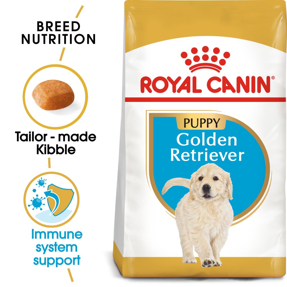 RC Golden Retriever Puppy 12kg