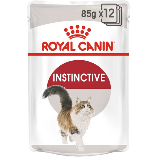 RC Instinctive 12x85g blautfóður