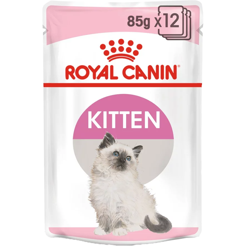 RC Kitten 12x85g blautfóður