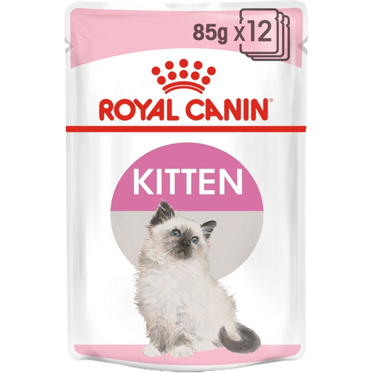 RC Kitten 12x85g blautfóður