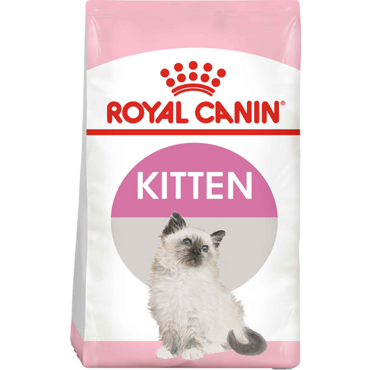 RC Kitten 4kg