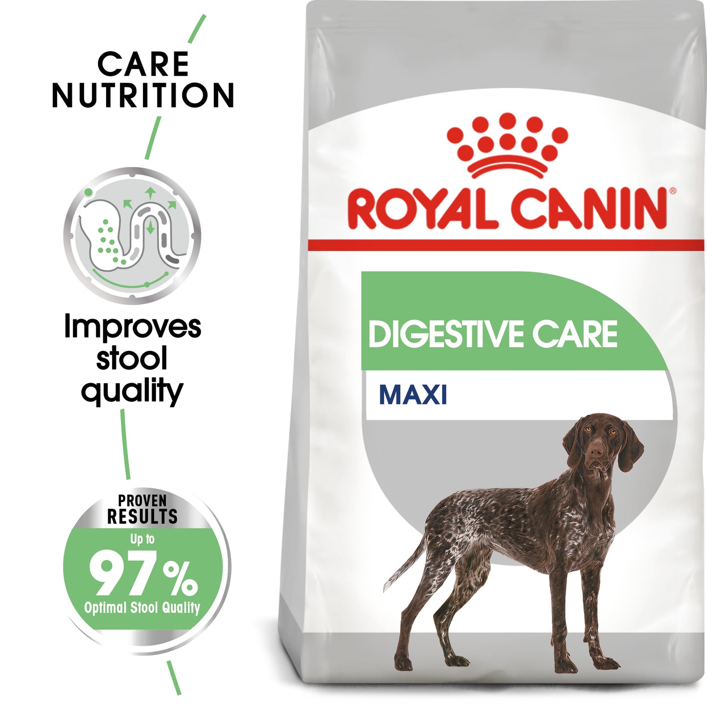 RC Maxi Digestive Care 12kg