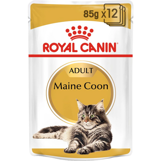 RC Maine Coon 12x85g blautfóður