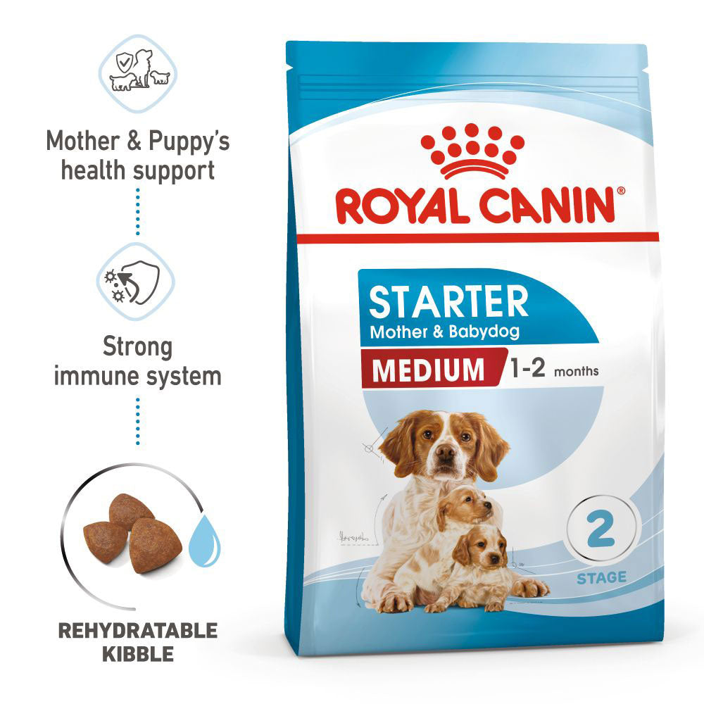 RC Starter Mother and Babydog