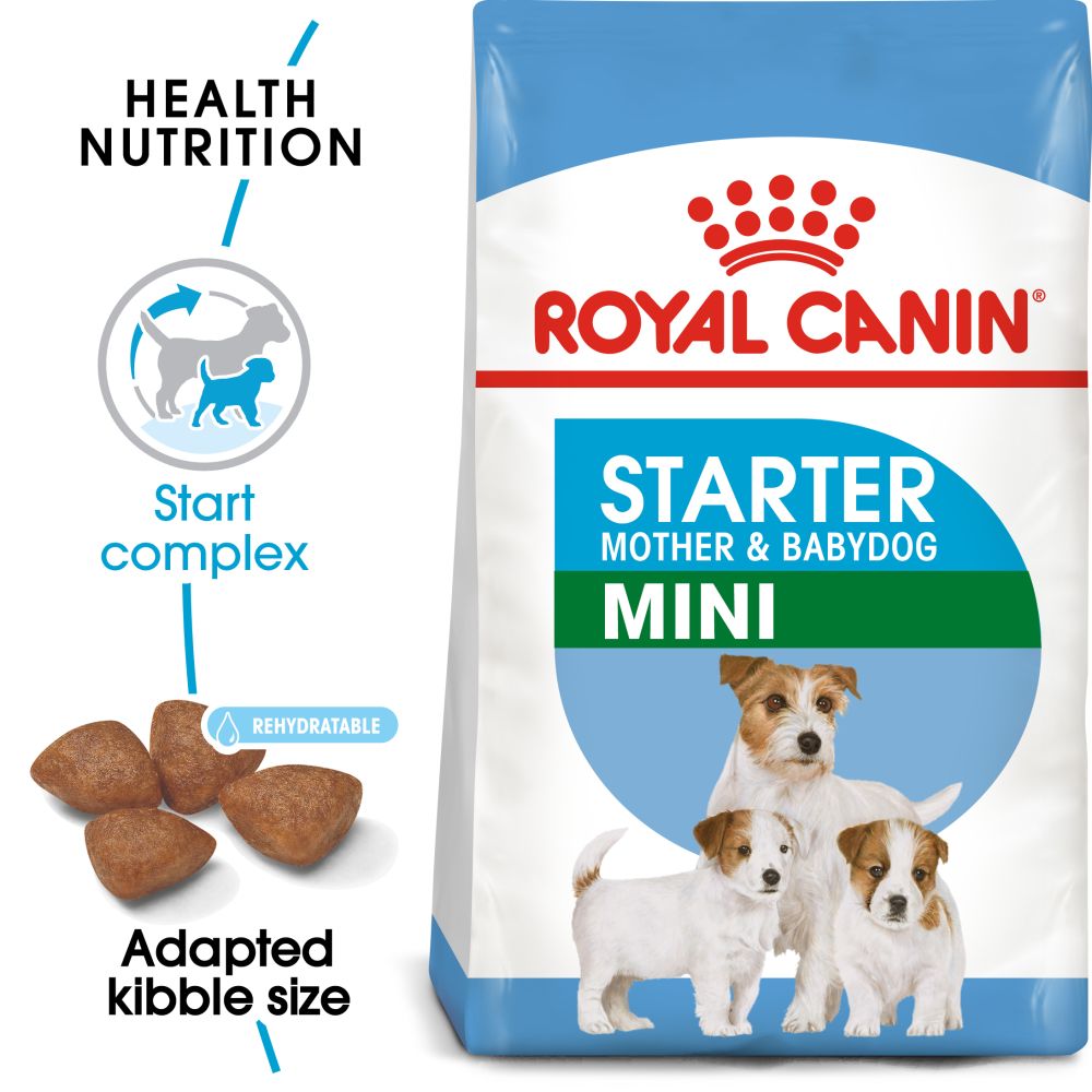 RC Starter Mother and Babydog