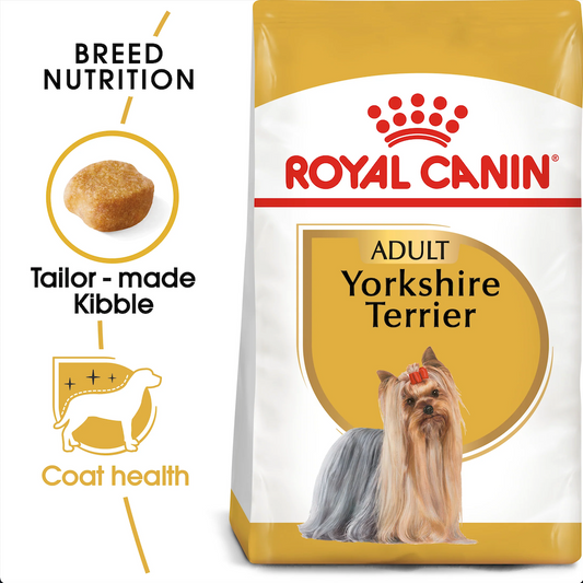 RC Yorkshire Terrier Adult