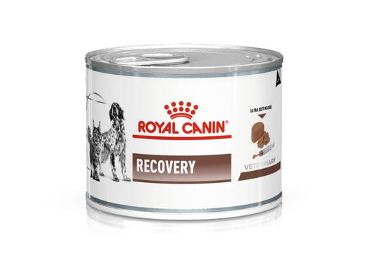 RC Dog/Cat Recovery 195gr Blautfóður