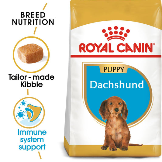 RC Dachshund Puppy 1.5kg